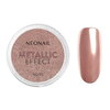Metallic Effect 05 - NEONAIL