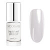 Liquid Nail Powder 6,5 ml - Chrome 01​ - NEONAIL