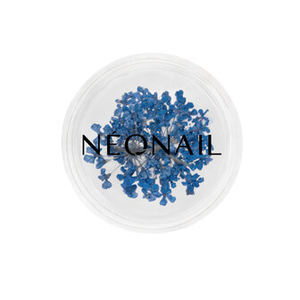 Dried flowers 04 - Navy - NEONAIL