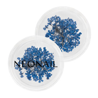 Dried flowers 04 - Navy - NEONAIL