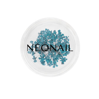 Dried flowers 05 - Turquoise - NEONAIL