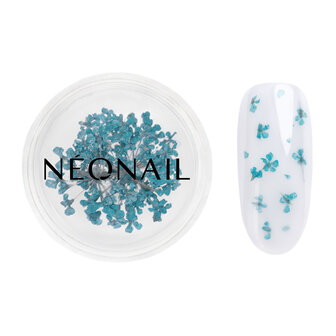 Dried flowers 05 - Turquoise - NEONAIL