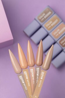 DNKa&#039; Gel Polish  - Color 0010 _ Beige tint