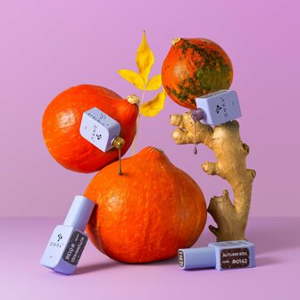 DNKa' Gel Polish Autumn Kiss - Color 0143