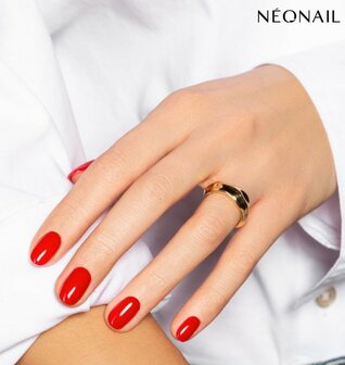 FULL GEL ARTIST | Mei - volzet