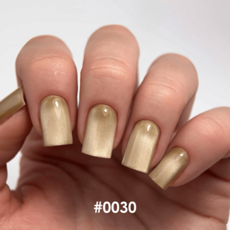 DNKa' Gel Polish Color - 0030 Cat's Eye Silk