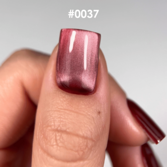 DNKa' Gel Polish Color - 0037 Cat's Eye Silk