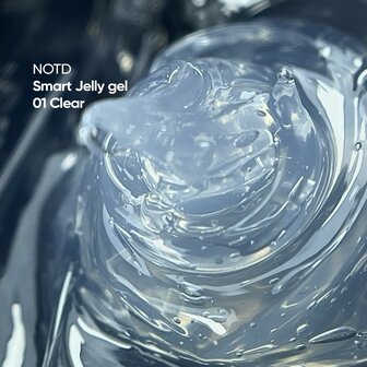 NOTD  Smart Jelly Gel 01