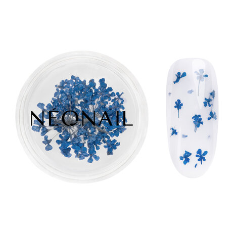 Dried flowers 04 - Navy - NEONAIL