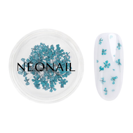 Dried flowers 05 - Turquoise - NEONAIL