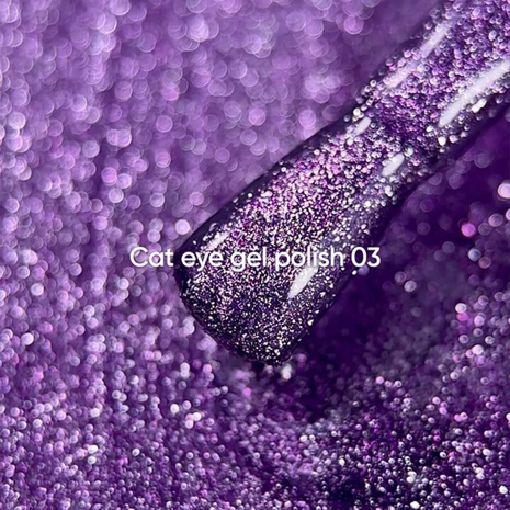 NOTD Gel Polish Cat Eye 03