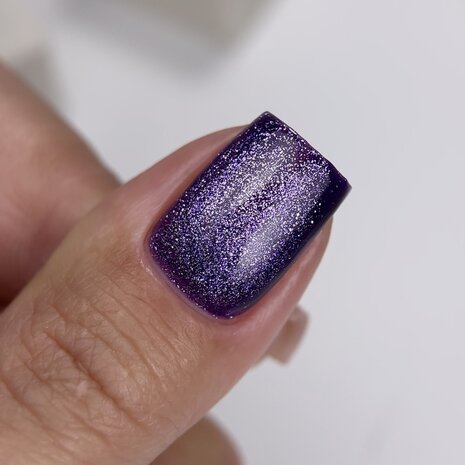 NOTD Cat Eye Collection 