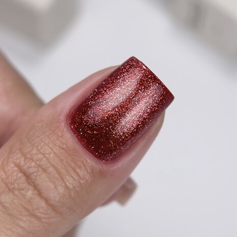 NOTD Cat Eye Collection 