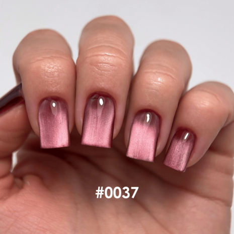 DNKa' Gel Polish Color - 0037 Cat's Eye Silk