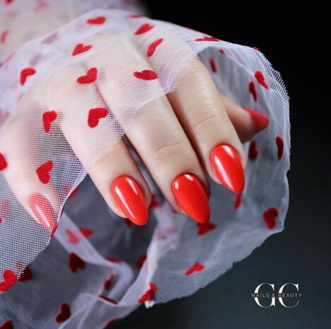 FULL GEL ARTIST | november