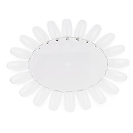 Color Margriet Clear