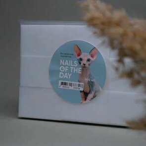 Lint-free Wipes 400 pcs NOTD